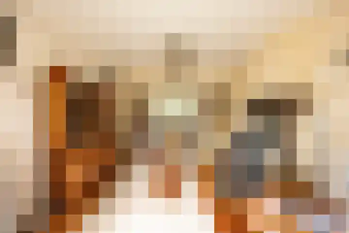 Goeman Borgesiuslaan 1 Groningen thumbnail 16