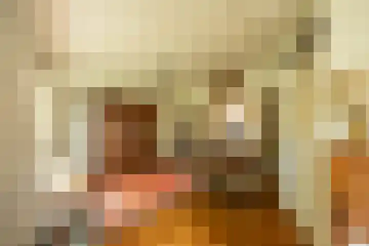 Goeman Borgesiuslaan 1 Groningen thumbnail 20