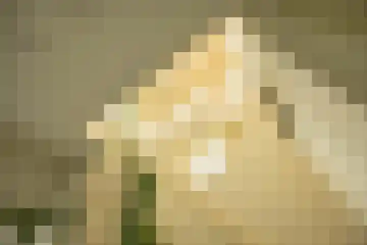 Goeman Borgesiuslaan 1 Groningen thumbnail 22