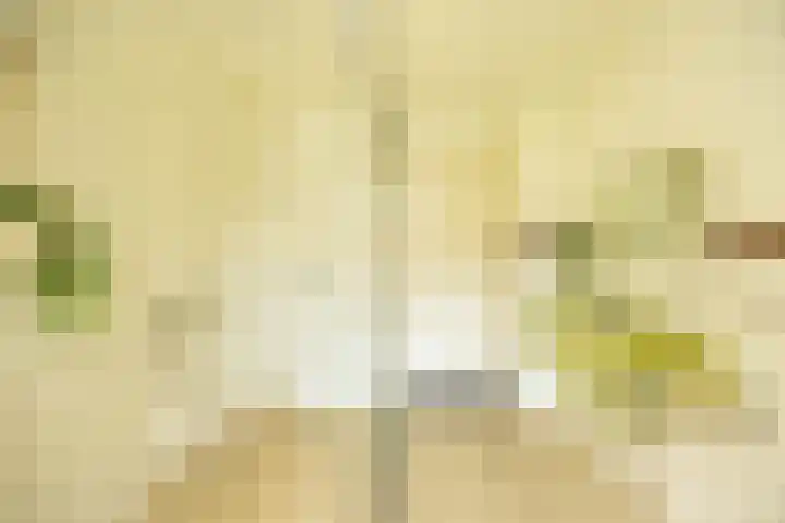 Goeman Borgesiuslaan 1 Groningen thumbnail 24