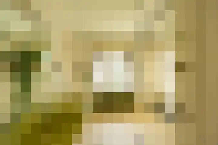 Goeman Borgesiuslaan 1 Groningen thumbnail 25
