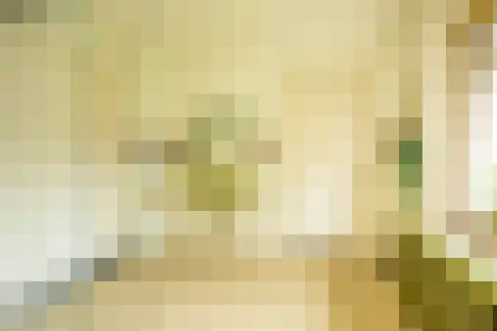 Goeman Borgesiuslaan 1 Groningen thumbnail 26