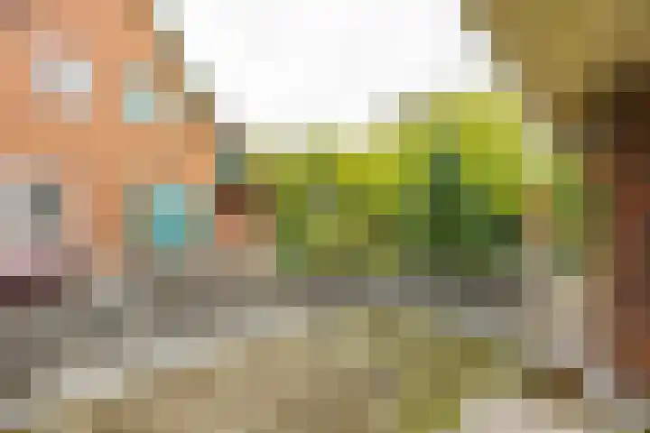 Goeman Borgesiuslaan 1 Groningen thumbnail 28