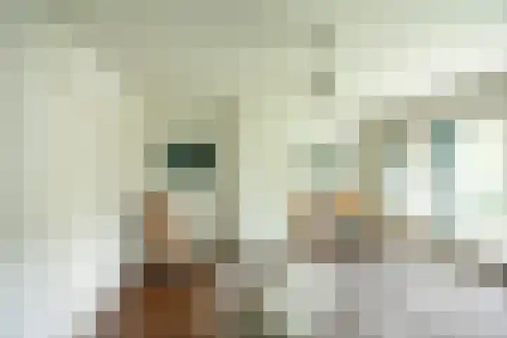 Goeman Borgesiuslaan 1 Groningen thumbnail 30