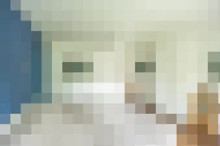 Goeman Borgesiuslaan 1 Groningen thumbnail 31