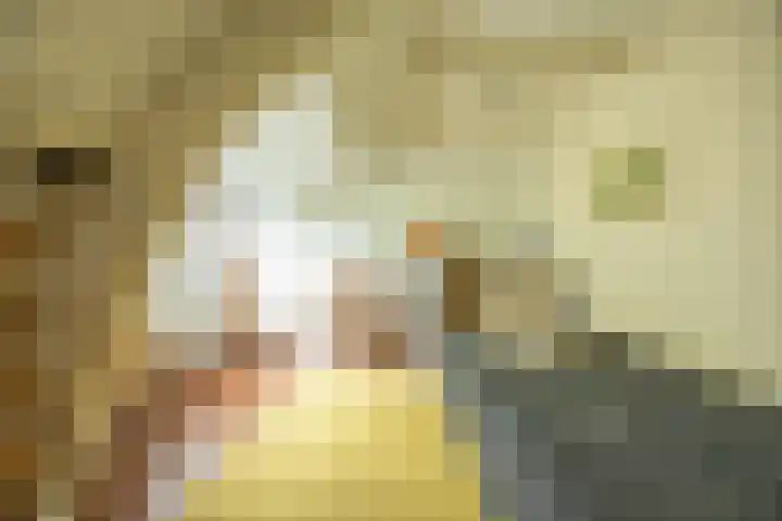 Goeman Borgesiuslaan 1 Groningen thumbnail 38