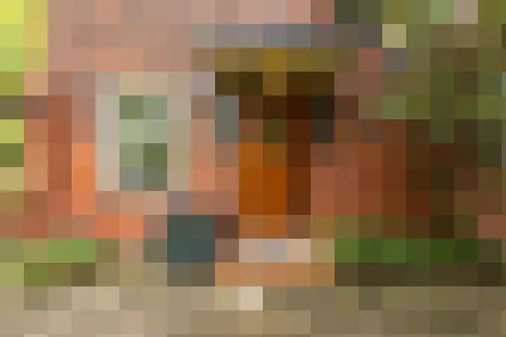 Goeman Borgesiuslaan 1 Groningen thumbnail 4