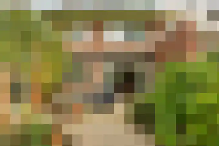 Goeman Borgesiuslaan 1 Groningen thumbnail 41