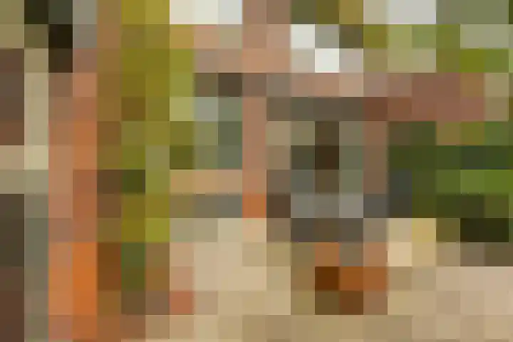 Goeman Borgesiuslaan 1 Groningen thumbnail 42