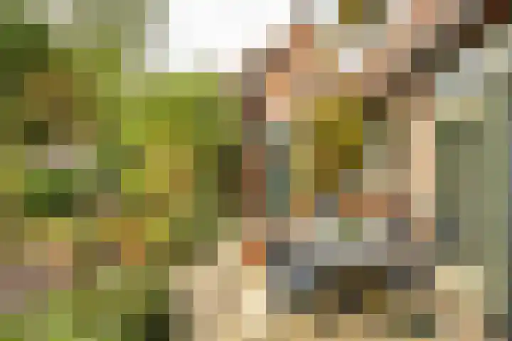 Goeman Borgesiuslaan 1 Groningen thumbnail 43
