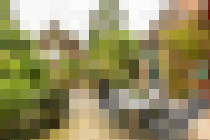 Goeman Borgesiuslaan 1 Groningen thumbnail 44
