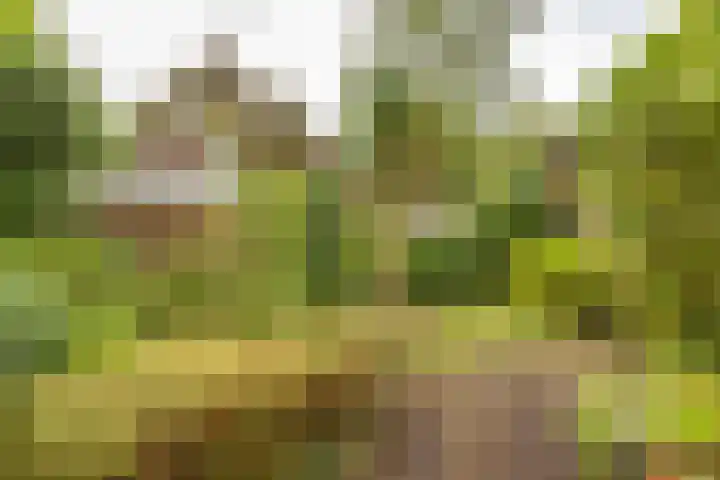 Goeman Borgesiuslaan 1 Groningen thumbnail 45
