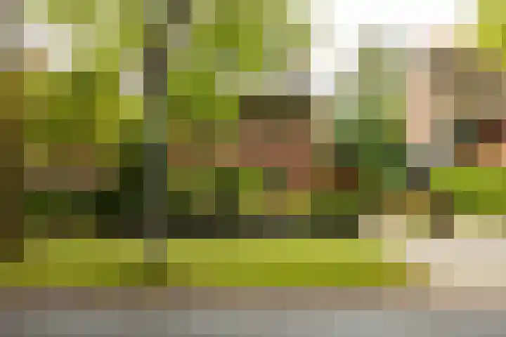 Goeman Borgesiuslaan 1 Groningen thumbnail 48