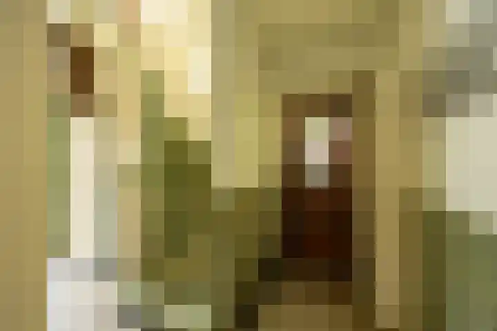 Goeman Borgesiuslaan 1 Groningen thumbnail 5