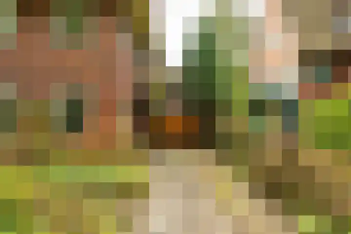 Goeman Borgesiuslaan 1 Groningen thumbnail 50