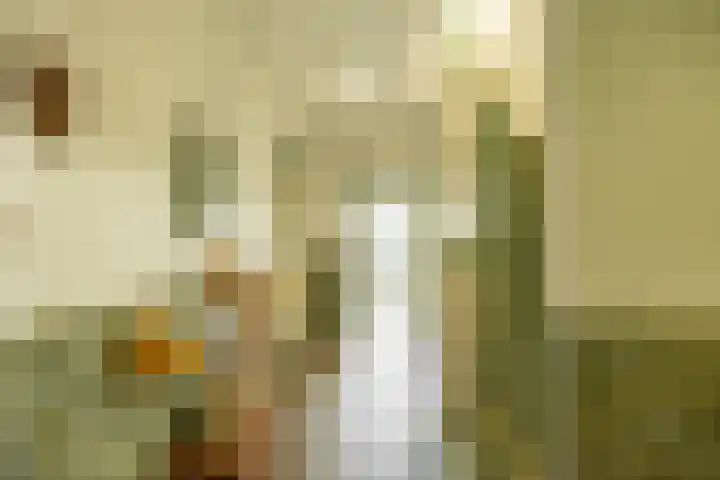 Goeman Borgesiuslaan 1 Groningen thumbnail 6