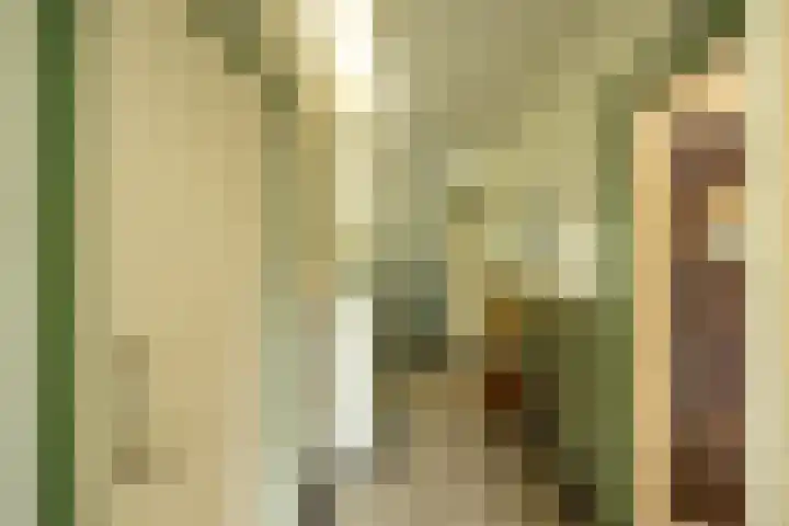 Goeman Borgesiuslaan 1 Groningen thumbnail 7