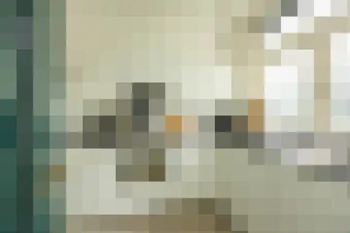 Goeman Borgesiuslaan 1 Groningen thumbnail 9