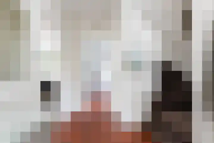 Goeman Borgesiuslaan 1 Zwolle thumbnail 10