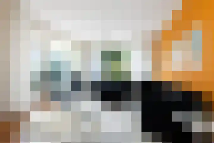 Goeman Borgesiuslaan 1 Zwolle thumbnail 11