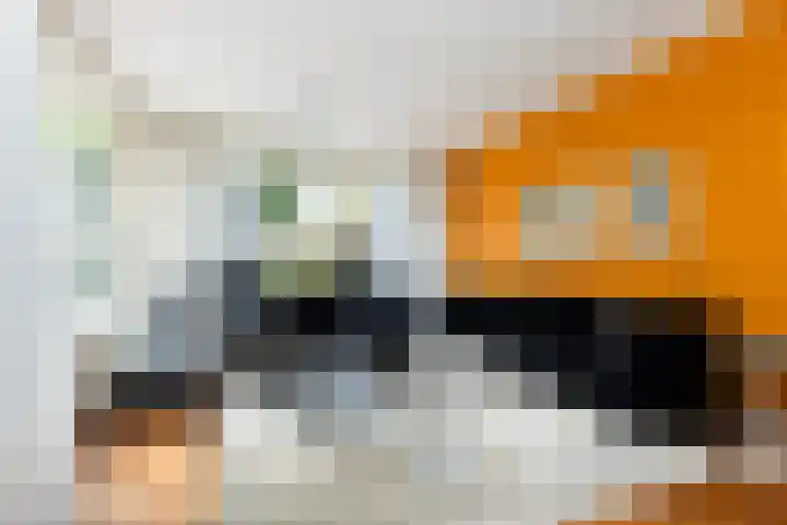Goeman Borgesiuslaan 1 Zwolle thumbnail 12