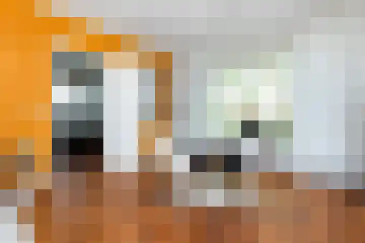 Goeman Borgesiuslaan 1 Zwolle thumbnail 16