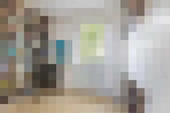 Goeman Borgesiuslaan 1 Zwolle thumbnail 26