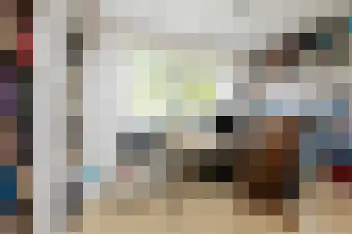 Goeman Borgesiuslaan 1 Zwolle thumbnail 27