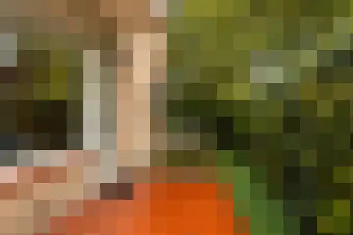 Goeman Borgesiuslaan 1 Zwolle thumbnail 29