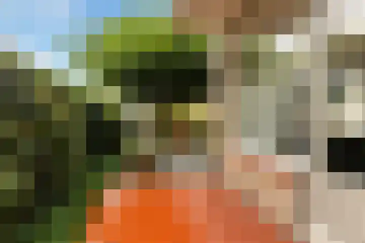 Goeman Borgesiuslaan 1 Zwolle thumbnail 30