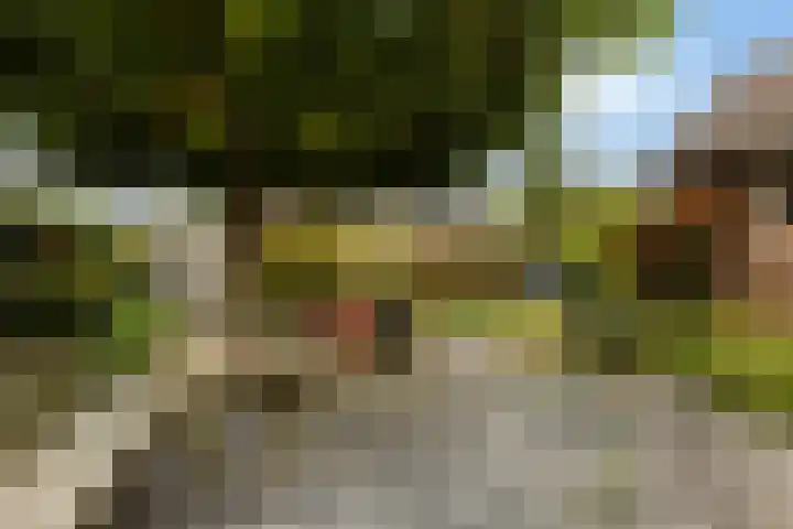 Goeman Borgesiuslaan 1 Zwolle thumbnail 31