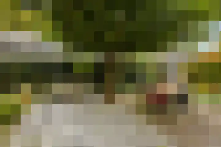 Goeman Borgesiuslaan 1 Zwolle thumbnail 32