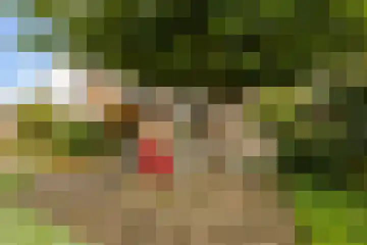 Goeman Borgesiuslaan 1 Zwolle thumbnail 33
