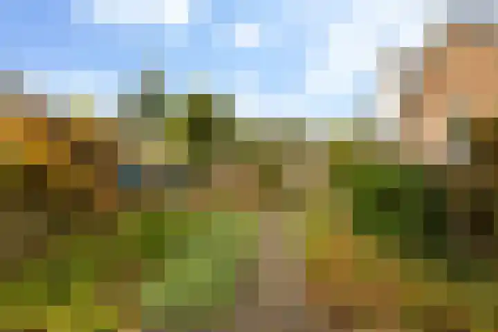 Goeman Borgesiuslaan 1 Zwolle thumbnail 34