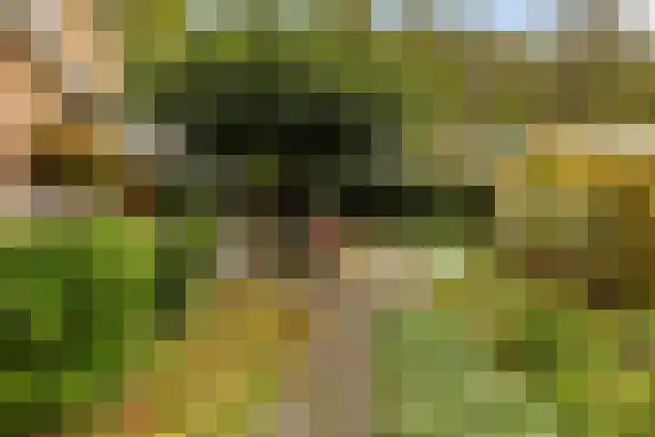 Goeman Borgesiuslaan 1 Zwolle thumbnail 36