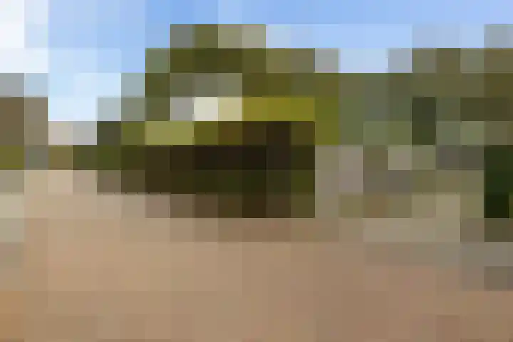 Goeman Borgesiuslaan 1 Zwolle thumbnail 39