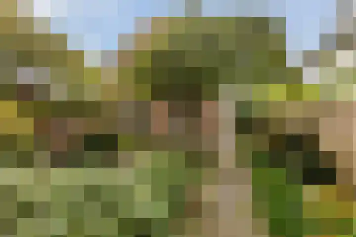 Goeman Borgesiuslaan 1 Zwolle thumbnail 4