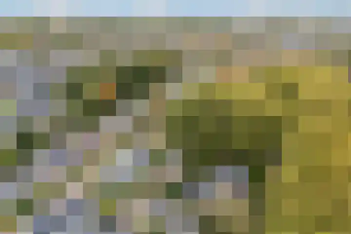 Goeman Borgesiuslaan 1 Zwolle thumbnail 41