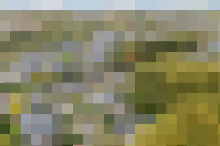 Goeman Borgesiuslaan 1 Zwolle thumbnail 42