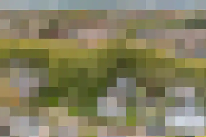 Goeman Borgesiuslaan 1 Zwolle thumbnail 43