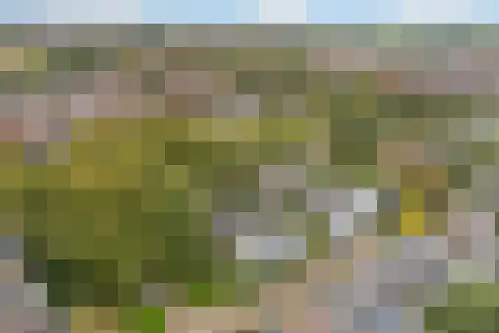 Goeman Borgesiuslaan 1 Zwolle thumbnail 44