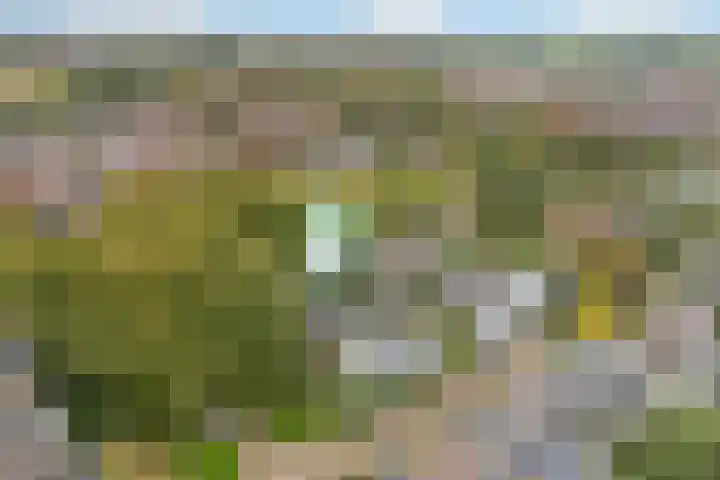 Goeman Borgesiuslaan 1 Zwolle thumbnail 5