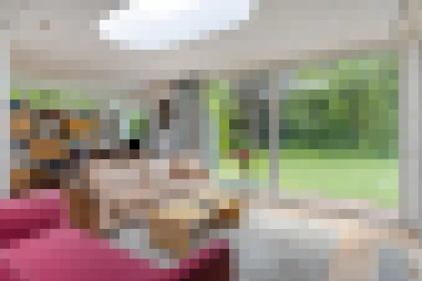 Goeman Borgesiuslaan 145 Groningen thumbnail 14