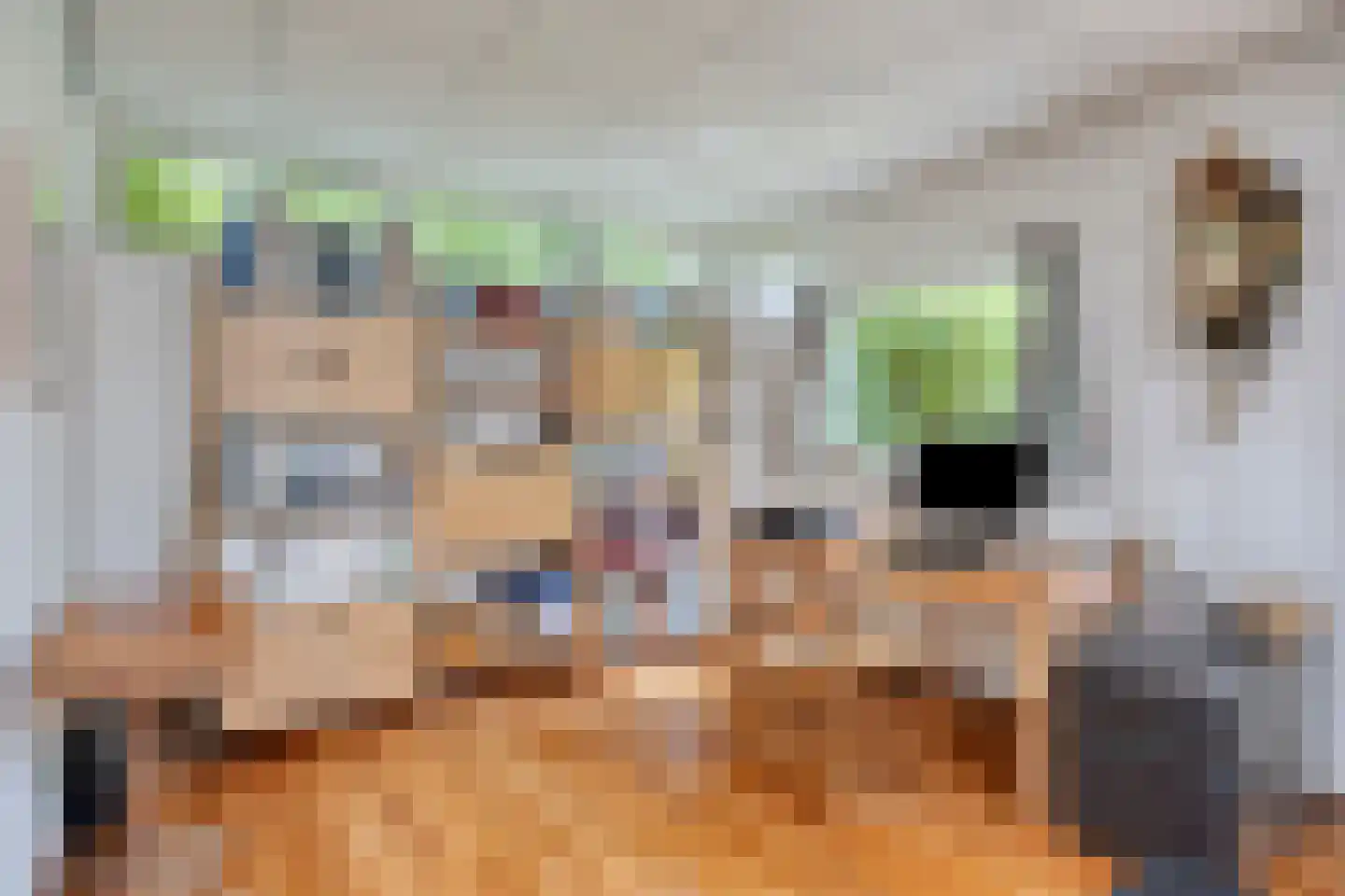 Goeman Borgesiuslaan 145 Groningen thumbnail 16