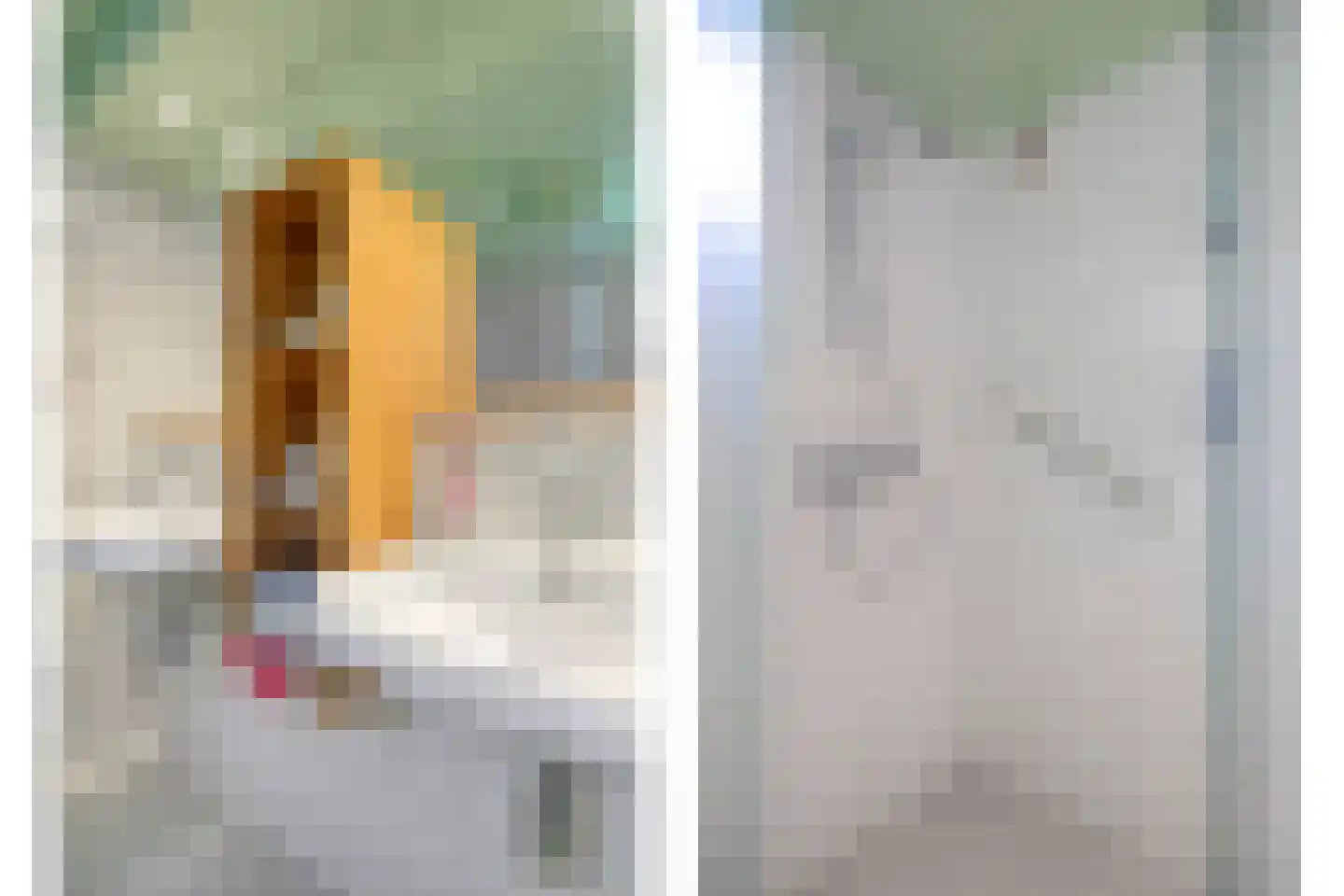 Goeman Borgesiuslaan 145 Groningen thumbnail 32