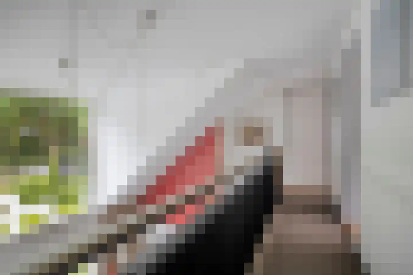 Goeman Borgesiuslaan 145 Groningen thumbnail 36