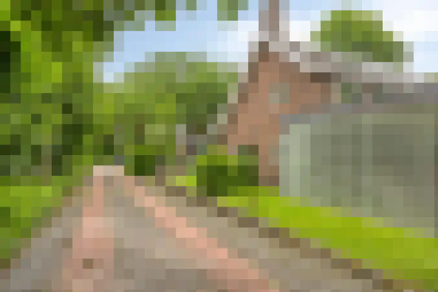 Goeman Borgesiuslaan 145 Groningen thumbnail 44