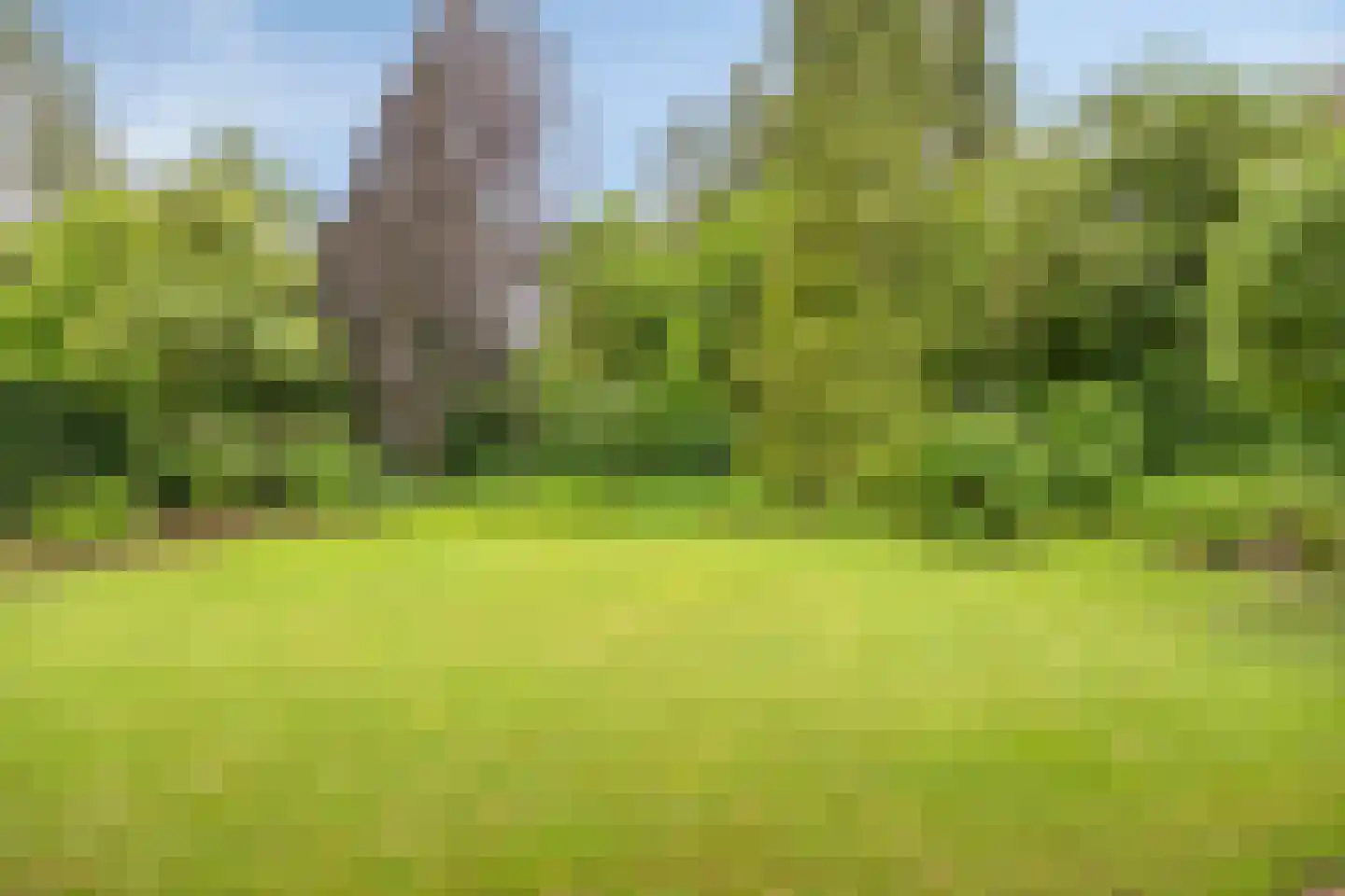 Goeman Borgesiuslaan 145 Groningen thumbnail 45