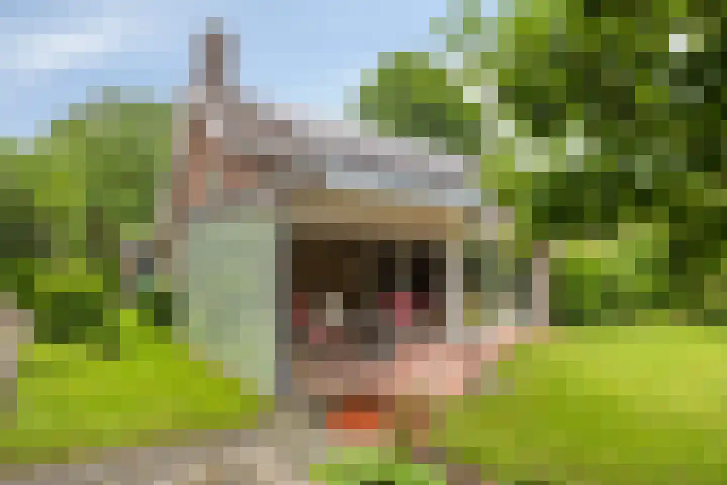 Goeman Borgesiuslaan 145 Groningen thumbnail 47