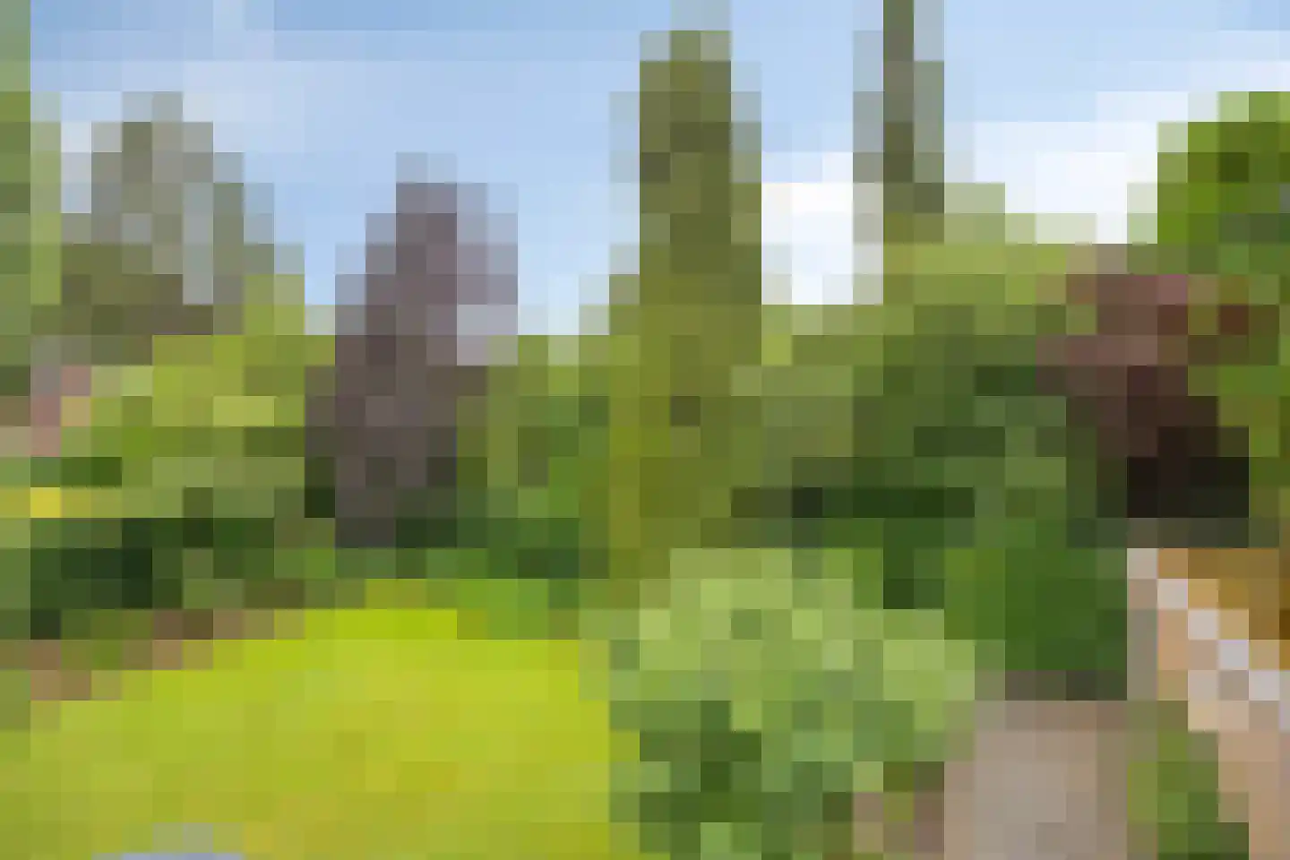 Goeman Borgesiuslaan 145 Groningen thumbnail 54